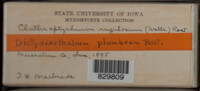 Image Associated With the Occurence